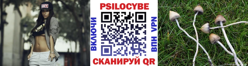 Псилоцибиновые грибы мухоморы Куйбышев